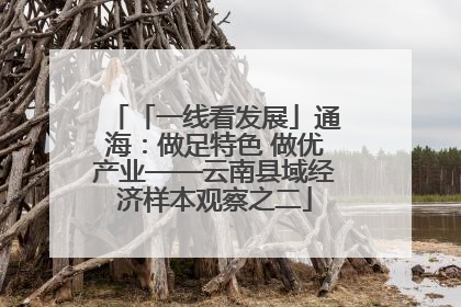 「一线看发展」通海：做足特色 做优产业——云南县域经济样本观察之二