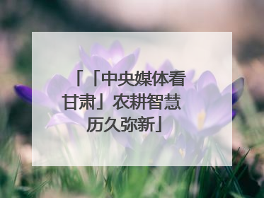 「中央媒体看甘肃」农耕智慧 历久弥新