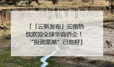 「云新发布」云南热忱欢迎全球华商侨企！“投资菜单”已备好