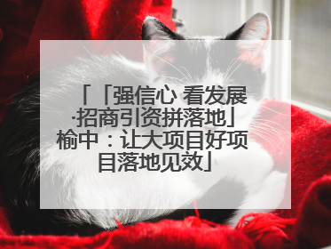 「强信心 看发展·招商引资拼落地」榆中：让大项目好项目落地见效