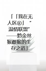 「我在无人区⑧」“温情联盟”——黔金丝猴雌猴的生存之道