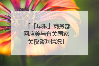 「早报」商务部回应美与有关国家关税谈判情况