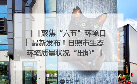 「聚焦“六五”环境日」最新发布！日照市生态环境质量状况“出炉”