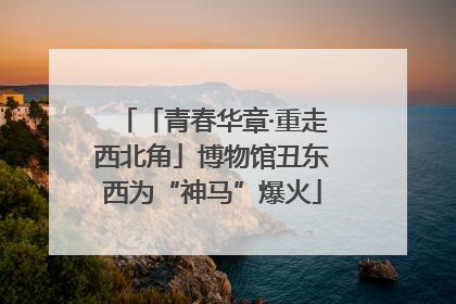 「青春华章·重走西北角」博物馆丑东西为“神马”爆火