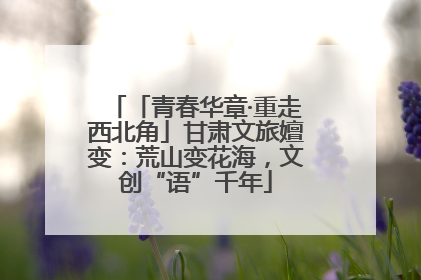 「青春华章·重走西北角」甘肃文旅嬗变：荒山变花海，文创“语”千年