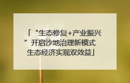“生态修复+产业振兴”开启沙地治理新模式 生态经济实现双效益