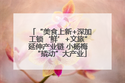 “美食上新+深加工锁‘鲜’+文旅”延伸产业链 小杨梅“撬动”大产业