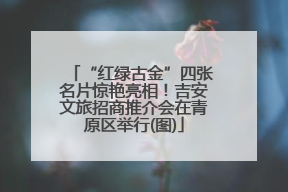 “红绿古金”四张名片惊艳亮相！吉安文旅招商推介会在青原区举行(图)