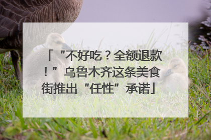 “不好吃？全额退款！”乌鲁木齐这条美食街推出“任性”承诺
