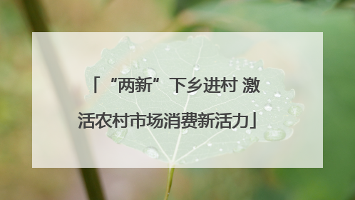 “两新”下乡进村 激活农村市场消费新活力
