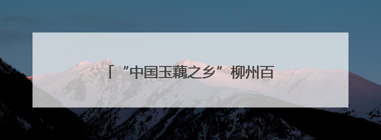 “中国玉藕之乡”柳州百朋镇玉藕抢“鲜”上市