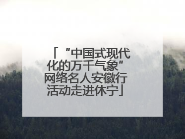 “中国式现代化的万千气象”网络名人安徽行活动走进休宁