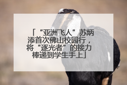 “亚洲飞人”苏炳添首次佛山校园行，将“逐光者”的接力棒递到学生手上