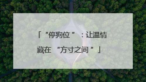 “停狗位 ”：让温情藏在 “方寸之间 ”