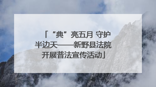 “典”亮五月 守护半边天——新野县法院开展普法宣传活动