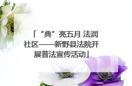 “典”亮五月 法润社区——新野县法院开展普法宣传活动