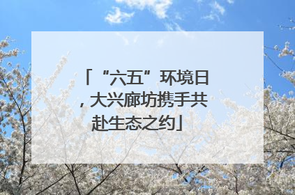 “六五”环境日，大兴廊坊携手共赴生态之约