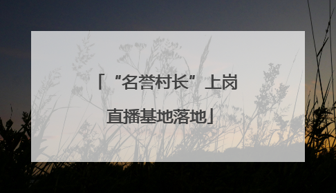 “名誉村长”上岗 直播基地落地