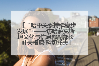 “哈中关系持续稳步发展”——访哈萨克斯坦文化与信息部副部长叶夫根尼·科切托夫