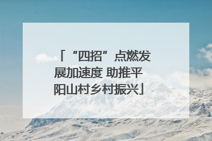 “四招”点燃发展加速度 助推平阳山村乡村振兴