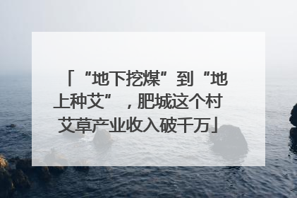 “地下挖煤”到“地上种艾”，肥城这个村艾草产业收入破千万