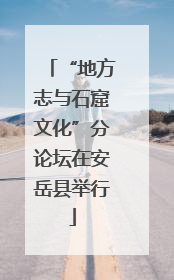 “地方志与石窟文化”分论坛在安岳县举行