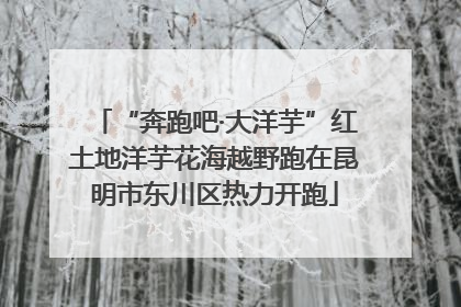 “奔跑吧·大洋芋”红土地洋芋花海越野跑在昆明市东川区热力开跑
