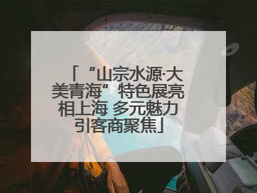 “山宗水源·大美青海”特色展亮相上海 多元魅力引客商聚焦