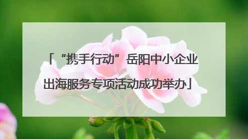 “携手行动”岳阳中小企业出海服务专项活动成功举办
