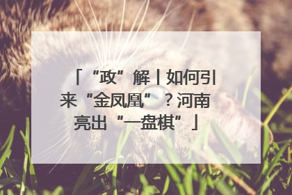 “政”解丨如何引来“金凤凰”？河南亮出“一盘棋”