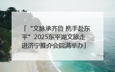 “文脉承齐鲁 携手赴东平”2025东平湖文旅走进济宁推介会圆满举办