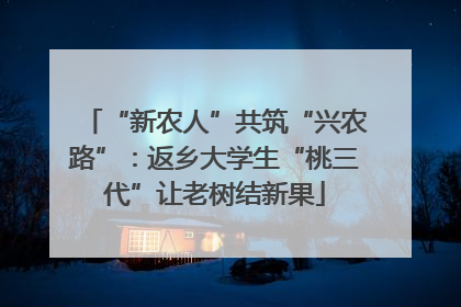 “新农人”共筑“兴农路”：返乡大学生“桃三代”让老树结新果