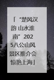 “楚风汉韵 山水淮南”2025八公山风景区推介会惊艳上海