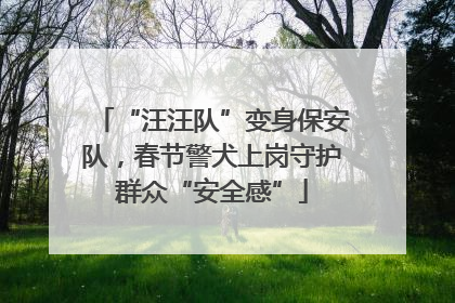 “汪汪队”变身保安队，春节警犬上岗守护群众“安全感”