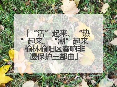 “活”起来、“热”起来、“潮”起来 榆林榆阳区奏响非遗保护三部曲