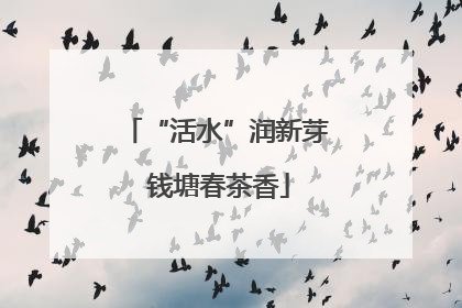 “活水”润新芽 钱塘春茶香