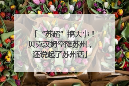 “苏超”搞大事！贝克汉姆空降苏州，还说起了苏州话