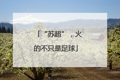 “苏超”，火的不只是足球