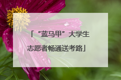 “蓝马甲”大学生志愿者畅通送考路