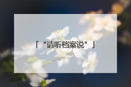 “请听档案说”