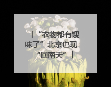 “衣物都有馊味了”北京也现“回南天”