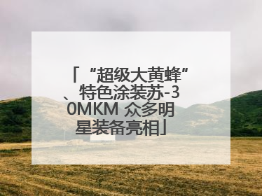 “超级大黄蜂”、特色涂装苏-30MKM 众多明星装备亮相