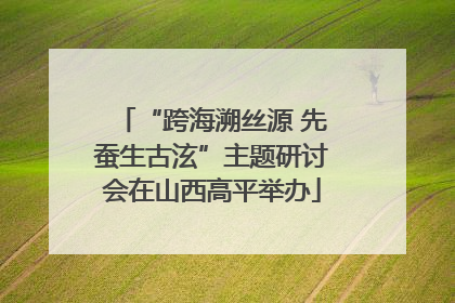 “跨海溯丝源 先蚕生古泫”主题研讨会在山西高平举办