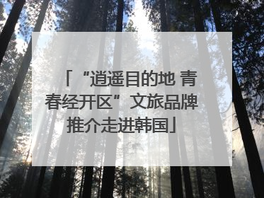“逍遥目的地 青春经开区”文旅品牌推介走进韩国