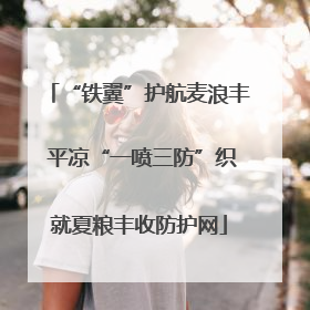 “铁翼”护航麦浪丰 平凉“一喷三防”织就夏粮丰收防护网