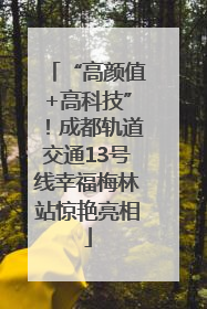 “高颜值+高科技”！成都轨道交通13号线幸福梅林站惊艳亮相