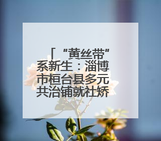 “黄丝带”系新生：淄博市桓台县多元共治铺就社矫对象回归路