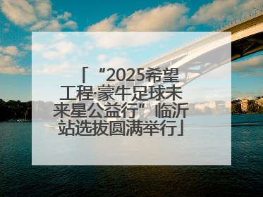 “2025希望工程·蒙牛足球未来星公益行”临沂站选拔圆满举行
