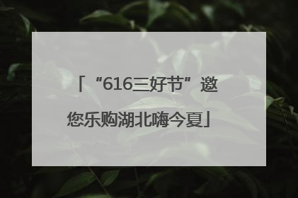 “616三好节”邀您乐购湖北嗨今夏