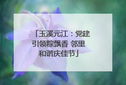 玉溪元江：党建引领粽飘香 邻里和谐庆佳节